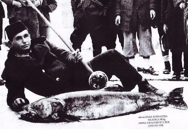 Halil Sofradzija with a Hucho hucho, Drina River, 1938