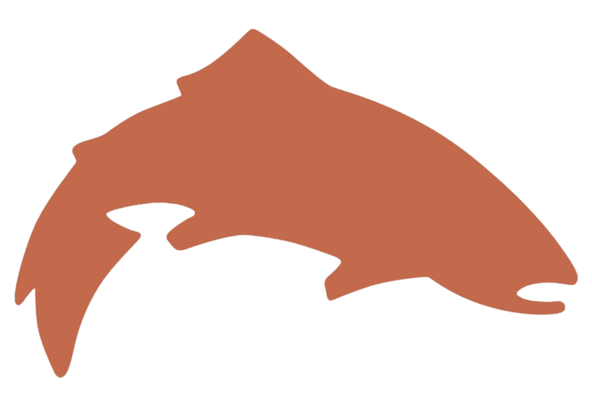Salmonidae